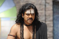 Nagarjuna Stills in Sri Jagadguru Adi Shankara
